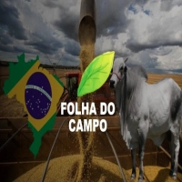 TV Folha do Campo