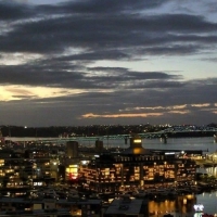 Viaduct Harbour - Auckland
