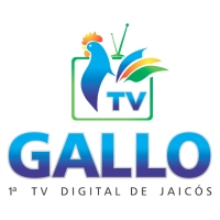 Tv Gallo