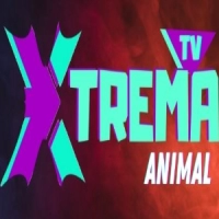 Xtrema TV - Animal