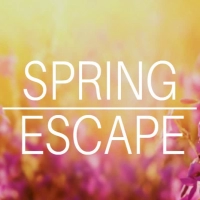 Spring Escape
