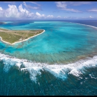 Midway-Atoll - Wildtierkamera