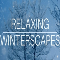 Relaxing Winterscapes