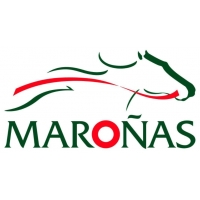 Maroñas