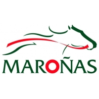 Maroñas