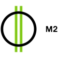 M2