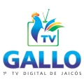 Tv Gallo