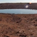 Etosha - Poço de Okaukuejo
