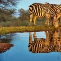 Kenya - Lentorre Lodge (Rift Valley)