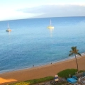 Hawaii Humpback Whale