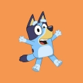 Bluey em Português