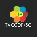 Tv Coop