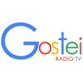 Gostei Gospel Tv