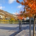 Bergen - Festplassen