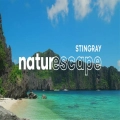 Stingray Naturescape