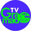 Tv Gramado Net