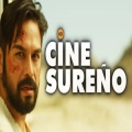 Cine Sureño