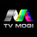 TV MOGI